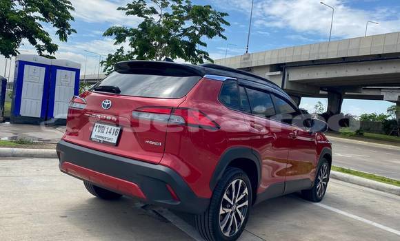 Buy Used Toyota Corolla Cross Red Car in Bangkok in Bangkok Buy Used Toyota Corolla Cross Red Car in Bangkok in Bangkok