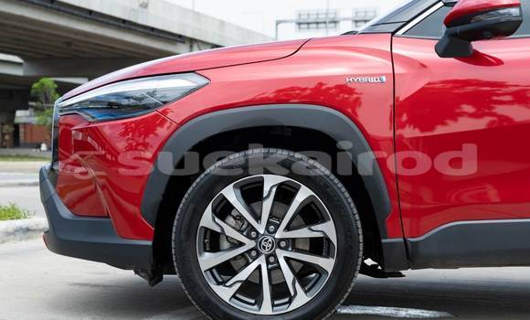Buy Used Toyota Corolla Cross Red Car in Bangkok in Bangkok Buy Used Toyota Corolla Cross Red Car in Bangkok in Bangkok