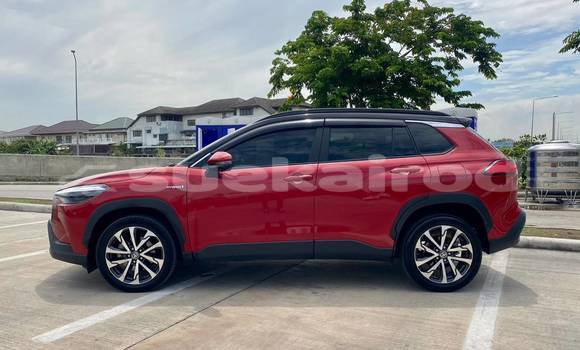 Buy Used Toyota Corolla Cross Red Car in Bangkok in Bangkok Buy Used Toyota Corolla Cross Red Car in Bangkok in Bangkok