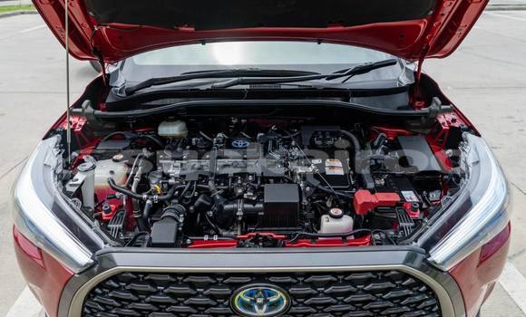 Buy Used Toyota Corolla Cross Red Car in Bangkok in Bangkok Buy Used Toyota Corolla Cross Red Car in Bangkok in Bangkok