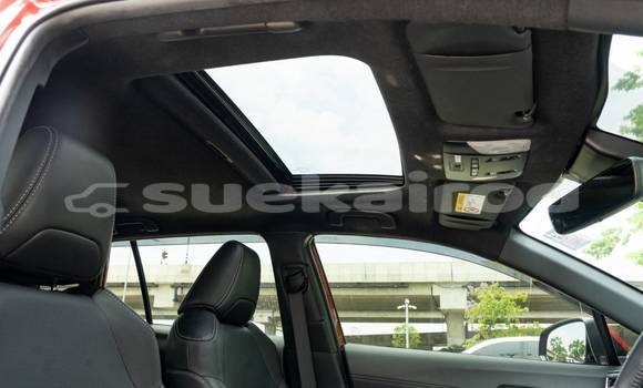 Buy Used Toyota Corolla Cross Red Car in Bangkok in Bangkok Buy Used Toyota Corolla Cross Red Car in Bangkok in Bangkok