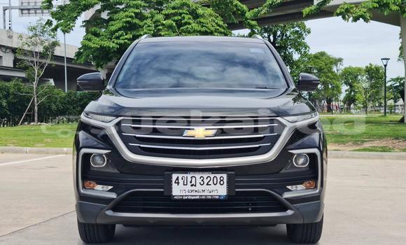 Buy Used Chevrolet Captiva Black Car in Bangkok in Bangkok Buy Used Chevrolet Captiva Black Car in Bangkok in Bangkok