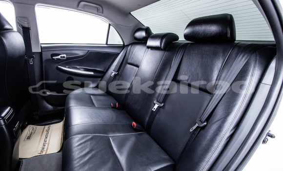 Buy Used Toyota Altis White Car in Bangkok in Bangkok Buy Used Toyota Altis White Car in Bangkok in Bangkok