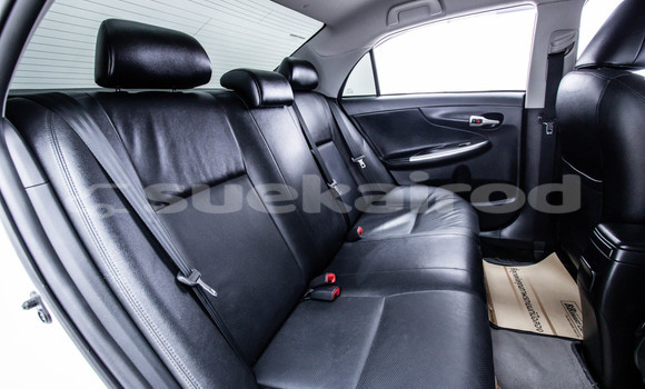 Buy Used Toyota Altis White Car in Bangkok in Bangkok Buy Used Toyota Altis White Car in Bangkok in Bangkok