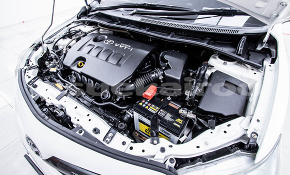 Buy Used Toyota Altis White Car in Bangkok in Bangkok Buy Used Toyota Altis White Car in Bangkok in Bangkok