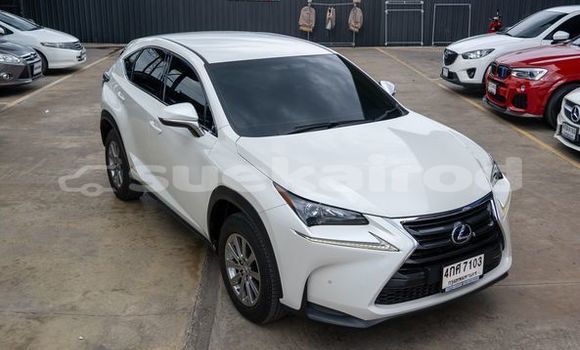 Buy Used Lexus NX White Car in Bangkok in Bangkok