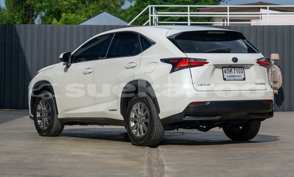 Buy Used Lexus NX White Car in Bangkok in Bangkok Buy Used Lexus NX White Car in Bangkok in Bangkok