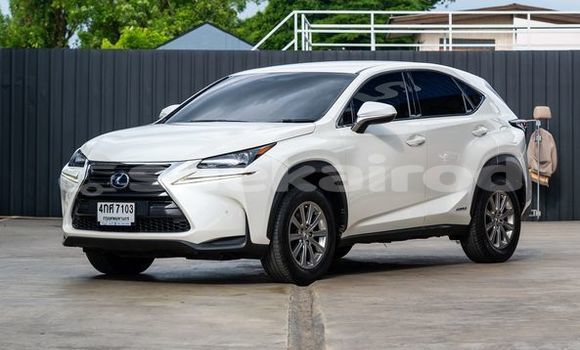 Buy Used Lexus NX White Car in Bangkok in Bangkok Buy Used Lexus NX White Car in Bangkok in Bangkok