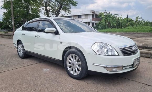ซื้อ รถมือสอง Nissan Teana ขาว รถยนต์ ใน %{เมือง} ใน กรุงเทพมหานคร ซื้อ รถมือสอง Nissan Teana ขาว รถยนต์ ใน %{เมือง} ใน กรุงเทพมหานคร
