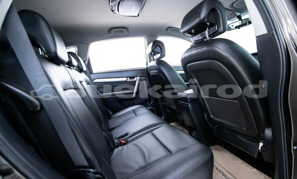 Buy Used Chevrolet Captiva Brown Car in Bangkok in Bangkok Buy Used Chevrolet Captiva Brown Car in Bangkok in Bangkok