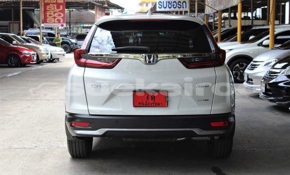 ซื้อ รถมือสอง Honda CR-V ขาว รถยนต์ ใน %{เมือง} ใน กรุงเทพมหานคร ซื้อ รถมือสอง Honda CR-V ขาว รถยนต์ ใน %{เมือง} ใน กรุงเทพมหานคร