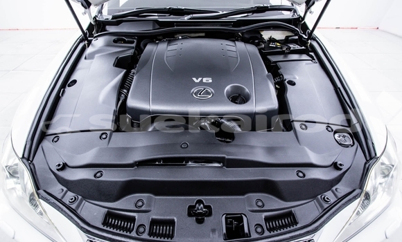 Buy Used Lexus IS White Car in Bangkok in Bangkok Buy Used Lexus IS White Car in Bangkok in Bangkok