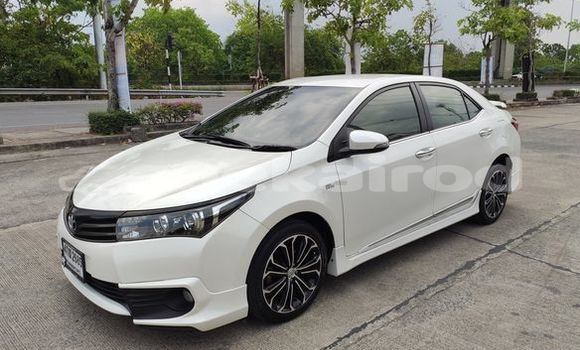 Buy Used Toyota Altis White Car in Bangkok in Bangkok