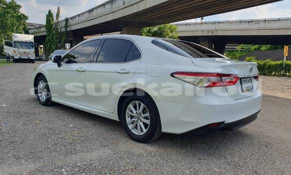 ซื้อ รถมือสอง Toyota Camry ขาว รถยนต์ ใน %{เมือง} ใน กรุงเทพมหานคร ซื้อ รถมือสอง Toyota Camry ขาว รถยนต์ ใน %{เมือง} ใน กรุงเทพมหานคร