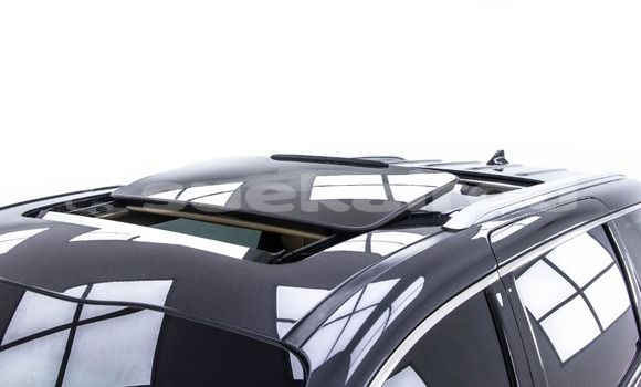 Buy Used Kia Carnival Black Car in Bangkok in Bangkok Buy Used Kia Carnival Black Car in Bangkok in Bangkok