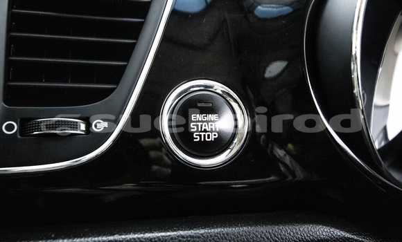 Buy Used Kia Carnival Black Car in Bangkok in Bangkok Buy Used Kia Carnival Black Car in Bangkok in Bangkok