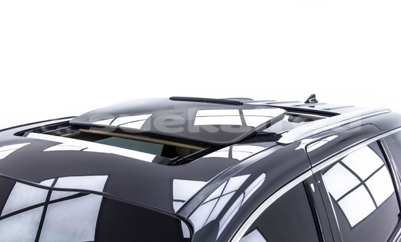 Buy Used Kia Carnival Black Car in Bangkok in Bangkok Buy Used Kia Carnival Black Car in Bangkok in Bangkok