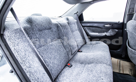 Buy Used Honda Accord Green Car in Bangkok in Bangkok Buy Used Honda Accord Green Car in Bangkok in Bangkok