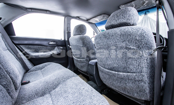 Buy Used Honda Accord Green Car in Bangkok in Bangkok Buy Used Honda Accord Green Car in Bangkok in Bangkok