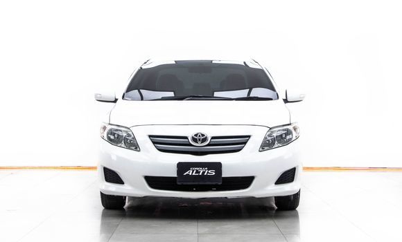 Buy Used Toyota Altis White Car in Bangkok in Bangkok Buy Used Toyota Altis White Car in Bangkok in Bangkok