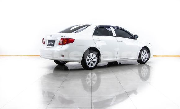 Buy Used Toyota Altis White Car in Bangkok in Bangkok Buy Used Toyota Altis White Car in Bangkok in Bangkok