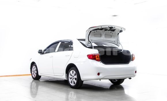 Buy Used Toyota Altis White Car in Bangkok in Bangkok Buy Used Toyota Altis White Car in Bangkok in Bangkok