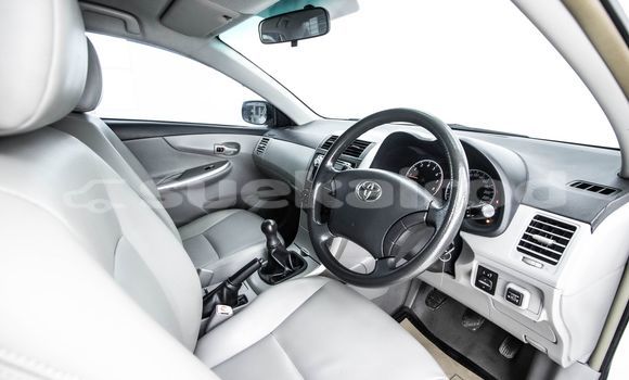 Buy Used Toyota Altis White Car in Bangkok in Bangkok Buy Used Toyota Altis White Car in Bangkok in Bangkok