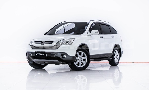 Buy Used Honda CR-V White Car in Bangkok in Bangkok