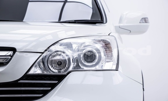 ซื้อ รถมือสอง Honda CR-V ขาว รถยนต์ ใน %{เมือง} ใน กรุงเทพมหานคร ซื้อ รถมือสอง Honda CR-V ขาว รถยนต์ ใน %{เมือง} ใน กรุงเทพมหานคร