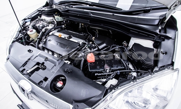 ซื้อ รถมือสอง Honda CR-V ขาว รถยนต์ ใน %{เมือง} ใน กรุงเทพมหานคร ซื้อ รถมือสอง Honda CR-V ขาว รถยนต์ ใน %{เมือง} ใน กรุงเทพมหานคร