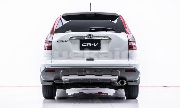 Buy Used Honda CR-V White Car in Bangkok in Bangkok Buy Used Honda CR-V White Car in Bangkok in Bangkok