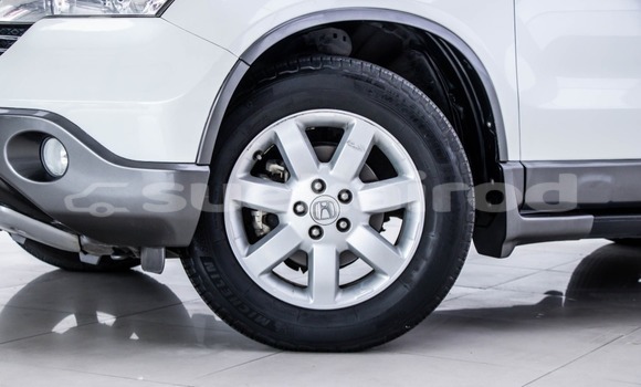 Buy Used Honda CR-V White Car in Bangkok in Bangkok Buy Used Honda CR-V White Car in Bangkok in Bangkok