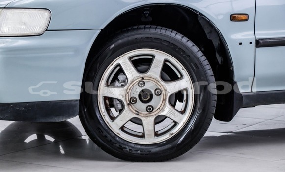 Buy Used Honda Accord Other Car in Bangkok in Bangkok Buy Used Honda Accord Other Car in Bangkok in Bangkok