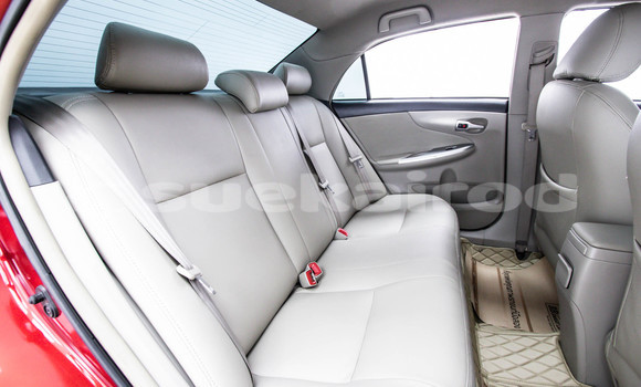 Buy Used Toyota Altis Red Car in Bangkok in Bangkok Buy Used Toyota Altis Red Car in Bangkok in Bangkok