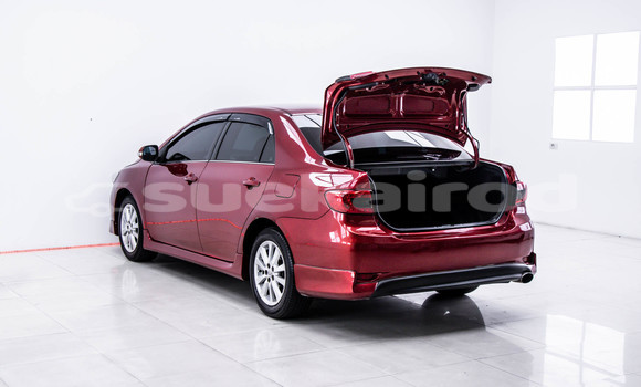 Buy Used Toyota Altis Red Car in Bangkok in Bangkok Buy Used Toyota Altis Red Car in Bangkok in Bangkok