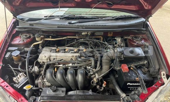 ซื้อ รถมือสอง Toyota Corolla สีแดง รถยนต์ ใน %{เมือง} ใน กรุงเทพมหานคร ซื้อ รถมือสอง Toyota Corolla สีแดง รถยนต์ ใน %{เมือง} ใน กรุงเทพมหานคร