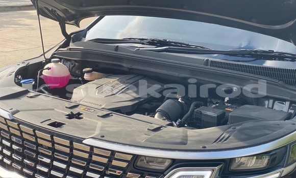 Buy Used Kia Carnival Black Car in Bangkok in Bangkok Buy Used Kia Carnival Black Car in Bangkok in Bangkok