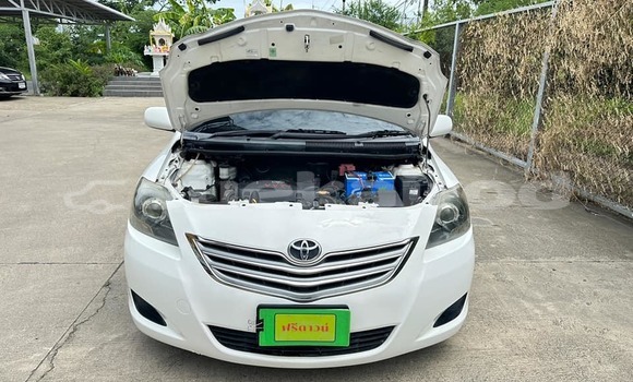 Buy Used Toyota Vios White Car in Bangkok in Bangkok Buy Used Toyota Vios White Car in Bangkok in Bangkok