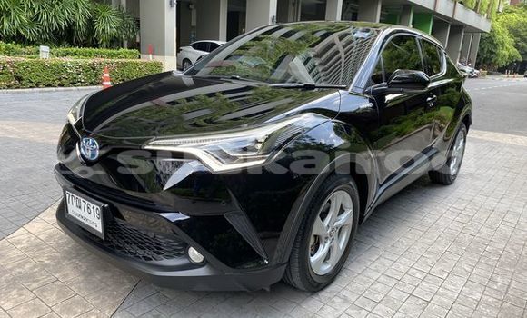 Buy Used Toyota C-HR Black Car in Bangkok in Bangkok