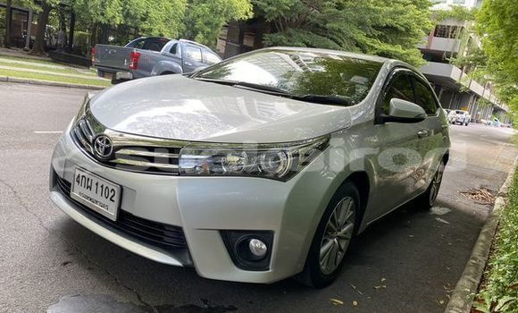 Buy Used Toyota Altis Silver Car in Bangkok in Bangkok