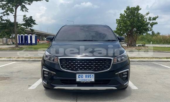 Buy Used Kia Carnival Black Car in Bangkok in Bangkok Buy Used Kia Carnival Black Car in Bangkok in Bangkok