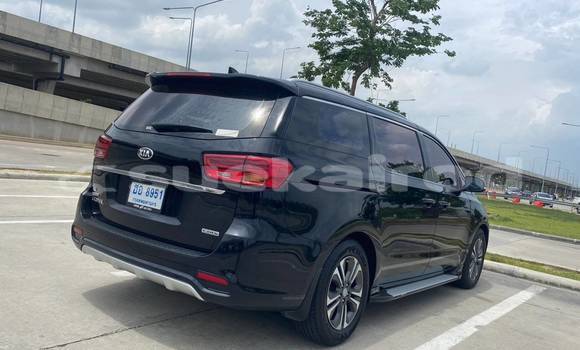 Buy Used Kia Carnival Black Car in Bangkok in Bangkok Buy Used Kia Carnival Black Car in Bangkok in Bangkok