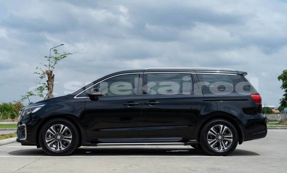 Buy Used Kia Carnival Black Car in Bangkok in Bangkok Buy Used Kia Carnival Black Car in Bangkok in Bangkok