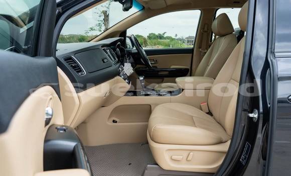Buy Used Kia Carnival Black Car in Bangkok in Bangkok Buy Used Kia Carnival Black Car in Bangkok in Bangkok