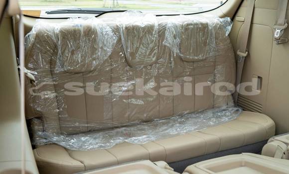 Buy Used Kia Carnival Black Car in Bangkok in Bangkok Buy Used Kia Carnival Black Car in Bangkok in Bangkok