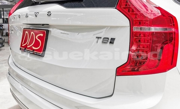 ซื้อ รถมือสอง Volvo XC90 ขาว รถยนต์ ใน %{เมือง} ใน กรุงเทพมหานคร ซื้อ รถมือสอง Volvo XC90 ขาว รถยนต์ ใน %{เมือง} ใน กรุงเทพมหานคร
