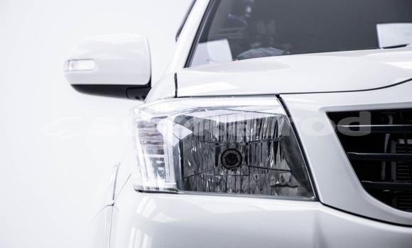 Buy Used Toyota Hiluxe VIGO White Car in Bangkok in Bangkok Buy Used Toyota Hiluxe VIGO White Car in Bangkok in Bangkok