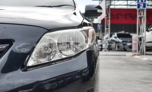 Buy Used Toyota Altis Black Car in Bangkok in Bangkok Buy Used Toyota Altis Black Car in Bangkok in Bangkok