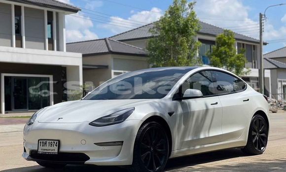 Buy Used Tesla Model 3 White Car in Bangkok in Bangkok Buy Used Tesla Model 3 White Car in Bangkok in Bangkok