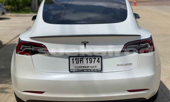 Buy Used Tesla Model 3 White Car in Bangkok in Bangkok Buy Used Tesla Model 3 White Car in Bangkok in Bangkok